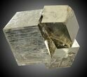 Pyrite Cube Cluster - Navajun, Spain #31024-1